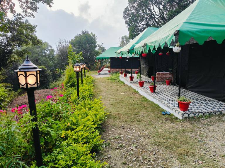 The jungle book by lake & woods in Bhimtal