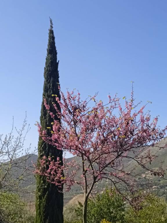 Villa with barbeque, garden & terrace | Nature view — photo 2