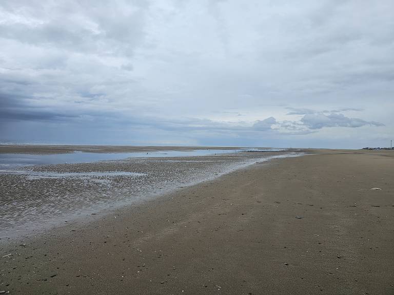 foto14