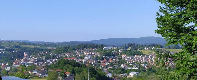 foto16