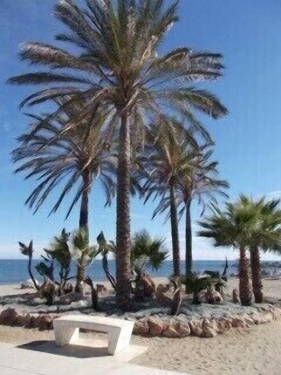 Apartment La Cala de Mijas