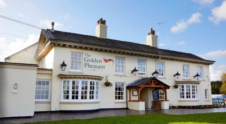 The Golden Pheasant