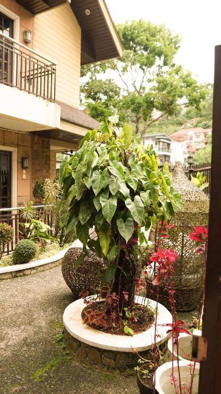 foto6