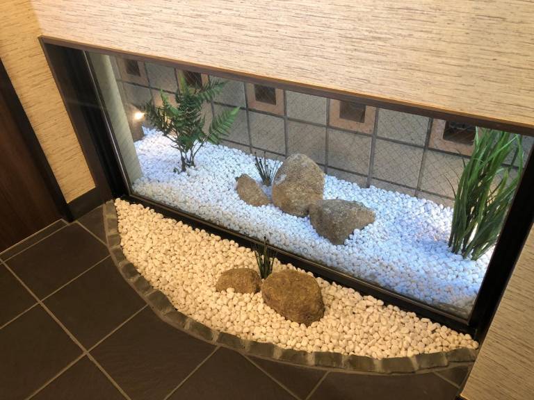 foto31