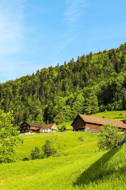 Ferienwohnung mit Hund in Lauerz, Brunnen SZ f&uuml;r max. 5 Personen