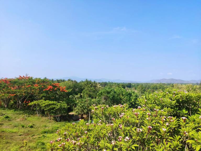 Banrai Pornsawun — photo 5