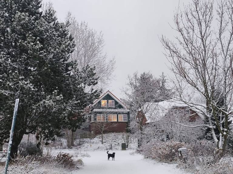 Ferienwohnung in Spiekeroog f&uuml;r max. 2 Personen