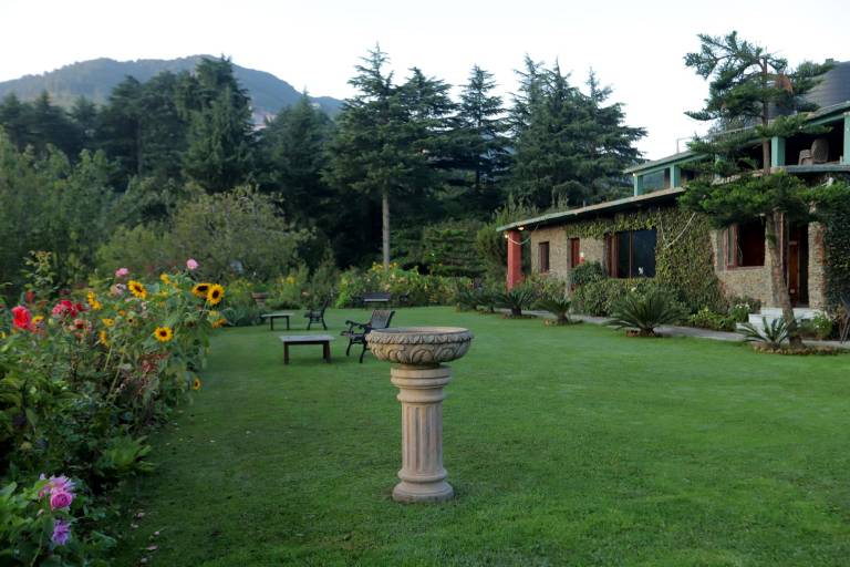 foto42