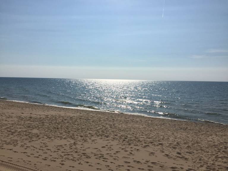Condo  South Haven