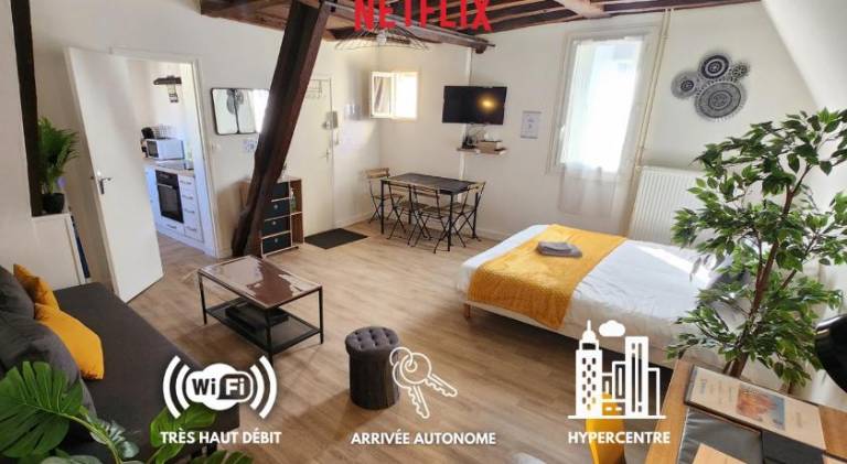 Rental apartment | Pets are welcome in Chinon