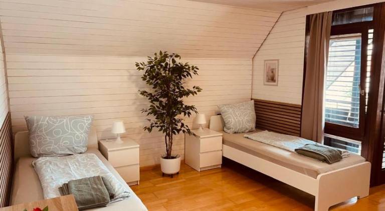 Holiday apartment with 2 rooms for 4 persons in Kehl