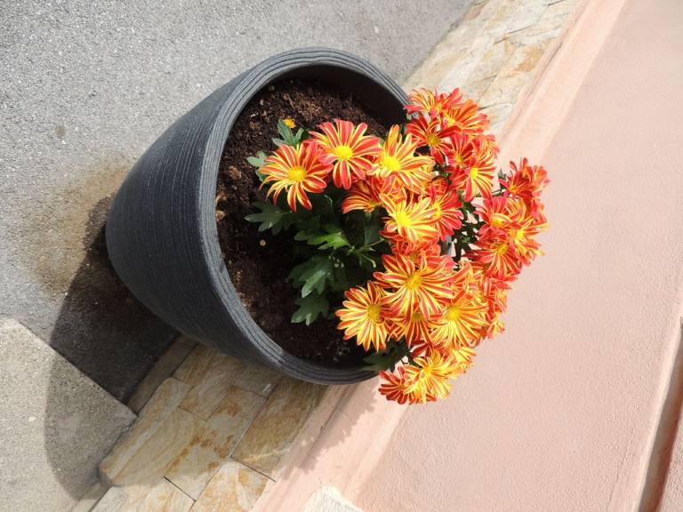 foto11