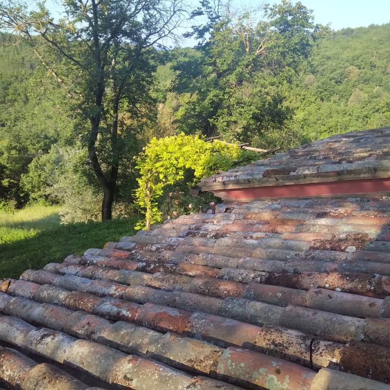 foto42