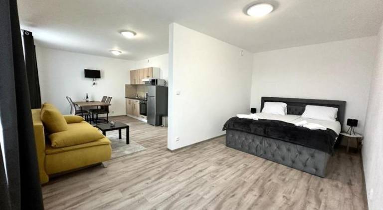 Holiday apartment | Dogs allowed in Plzen
