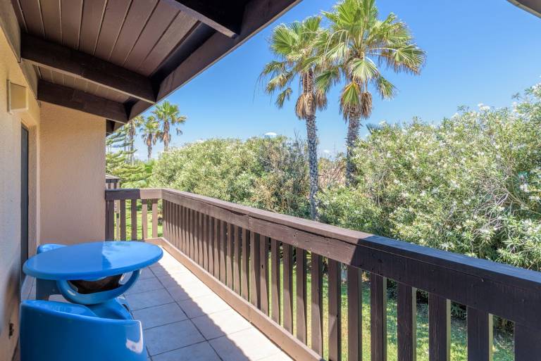 Condo  South Padre Island