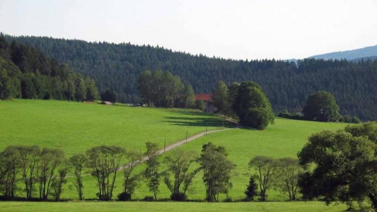 foto30