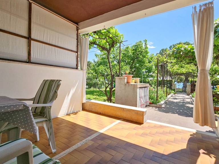 Rental apartment with patio | Dogs allowed in Novigrad