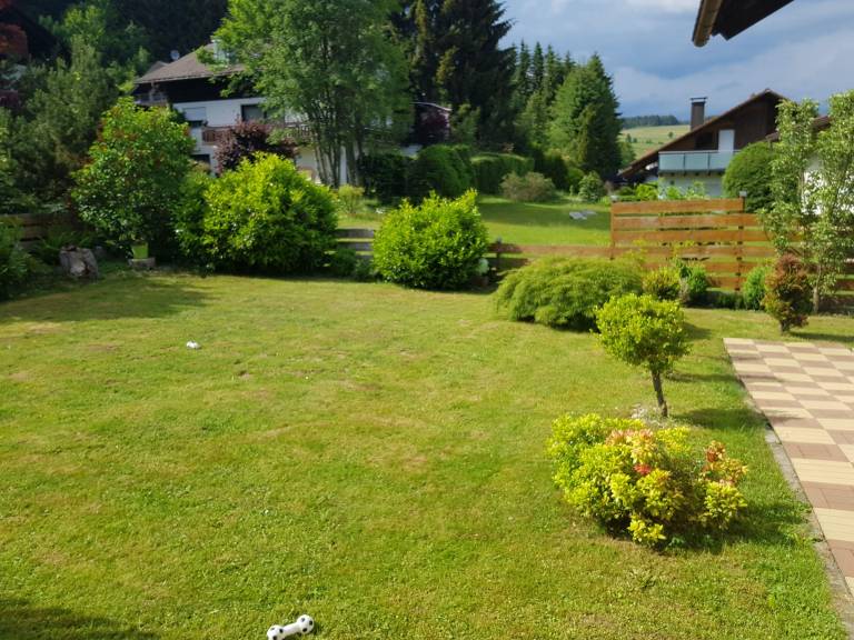 foto26