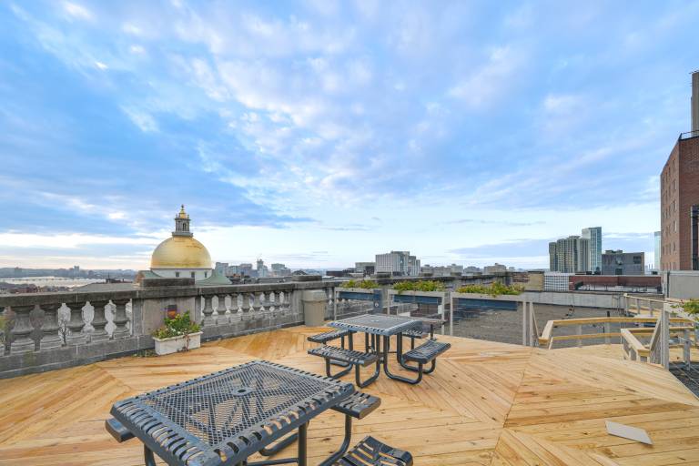 Walk to Boston Common Bright Apt w Rooftop Deck