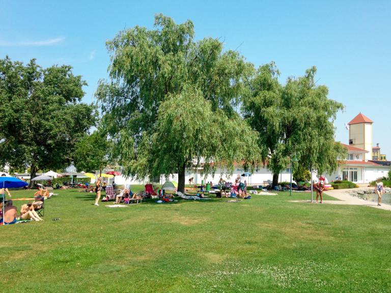 foto28