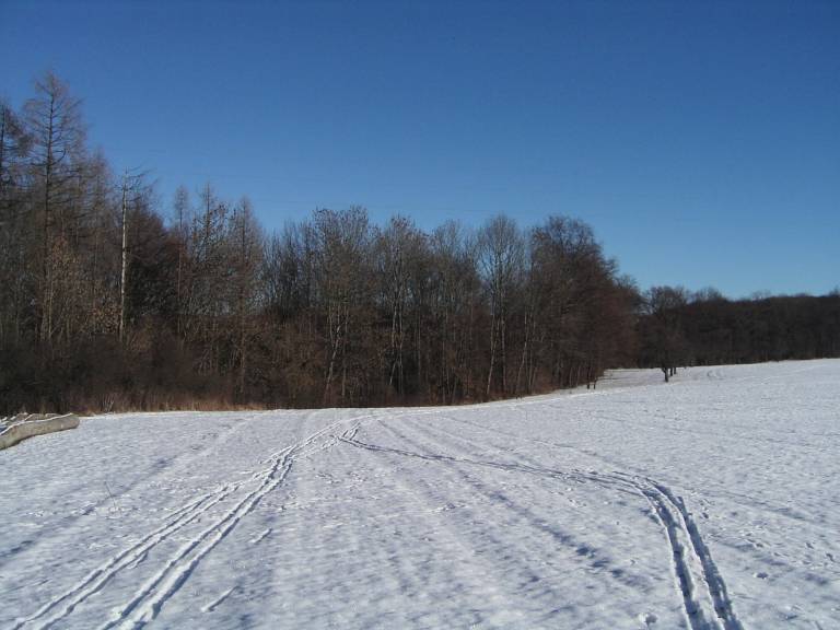 foto17