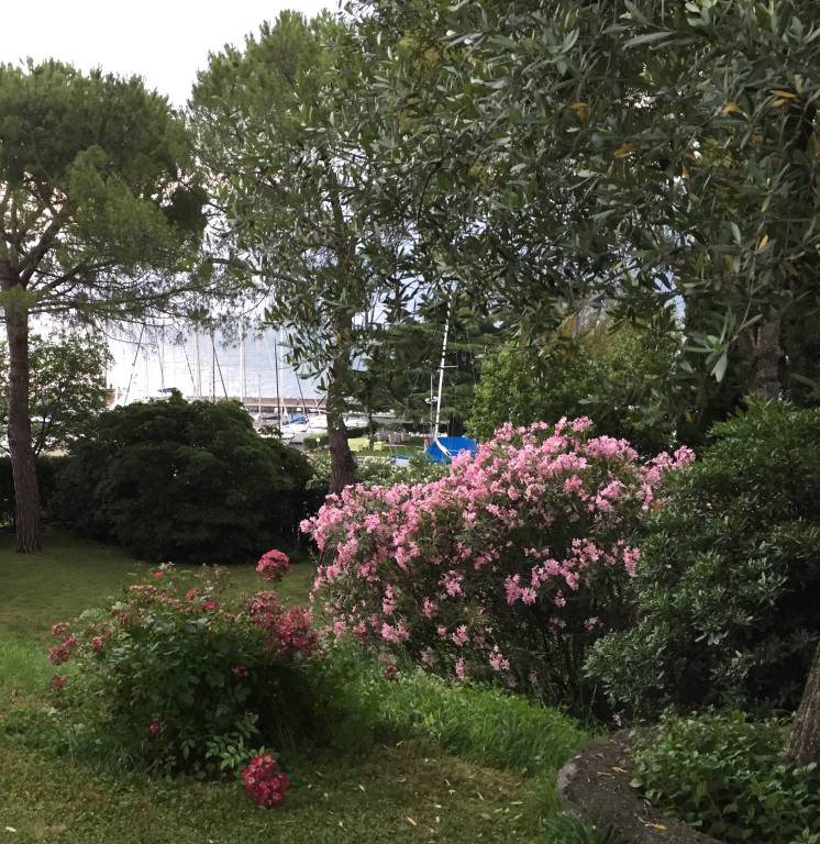 foto14