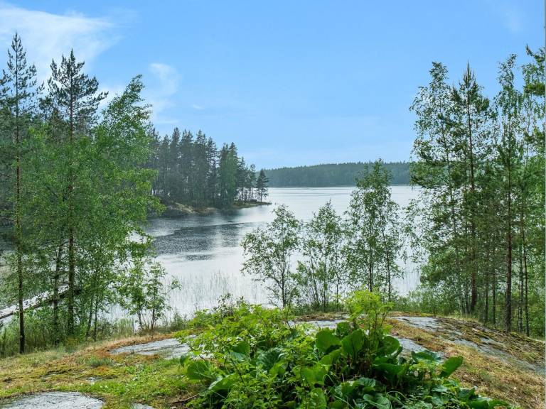 House with sauna | Nature view | Pets are welcome — photo 3