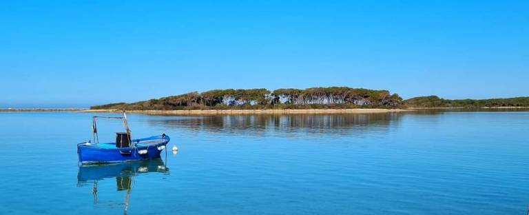 Appartamento Porto cesareo
