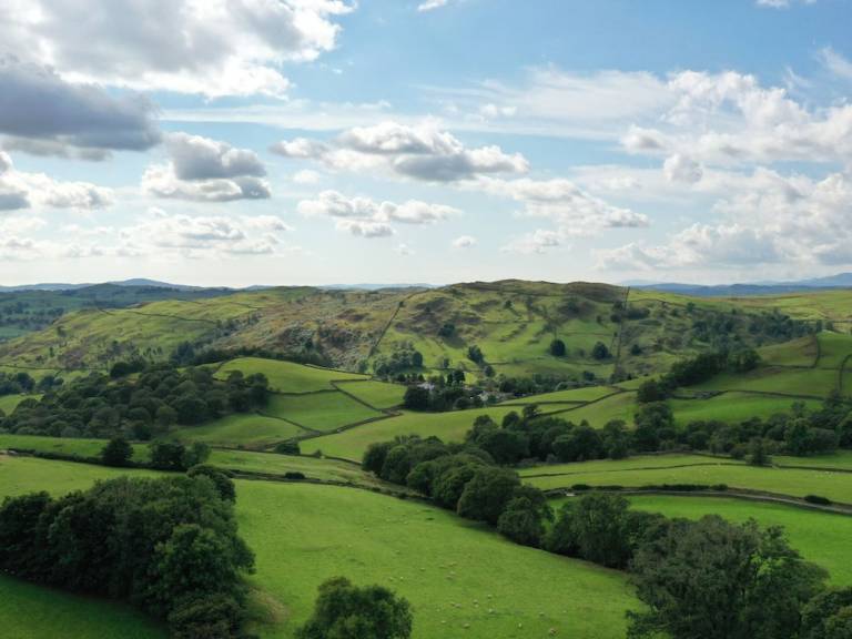 Cottage  Nether Staveley