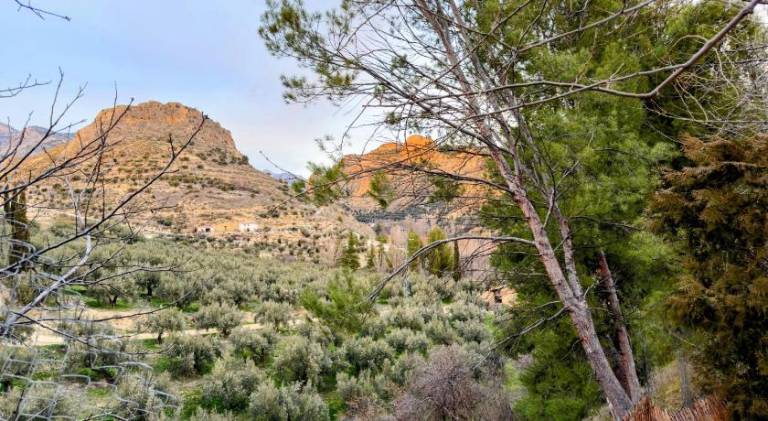 Nice vacation home with pool | Dogs allowed in Granada