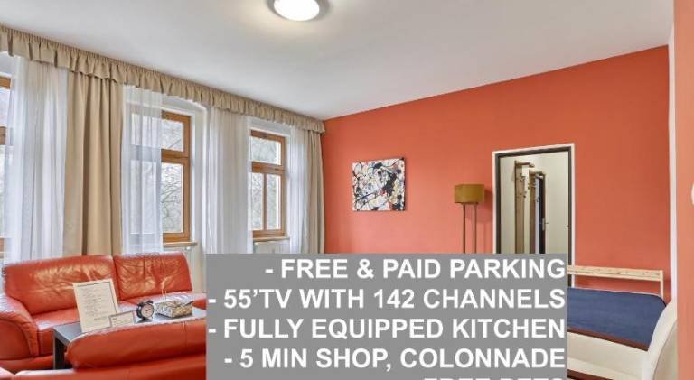 Rental apartment with yard in Karlovy Vary