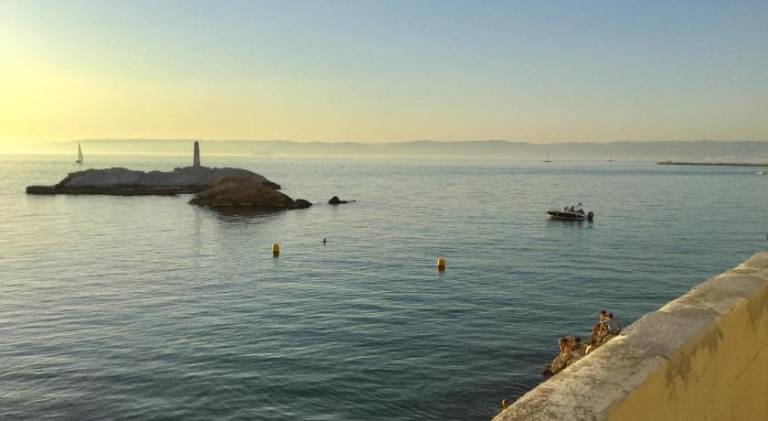 Rental apartment | Dogs allowed in Marseille