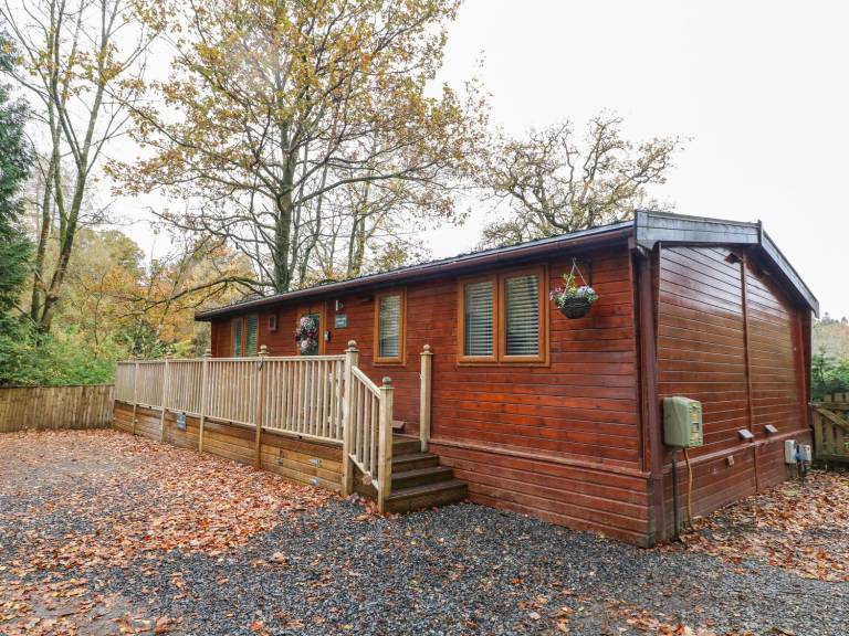 Cottage with yard & sauna — photo 4