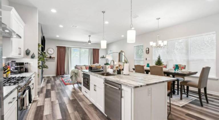 Beautiful house | Good for workation | Pets allowed — photo 4