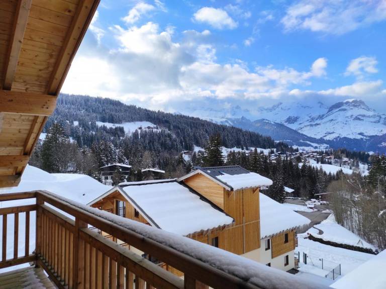 Swimming pool, terrace, balcony, tv, 45m², Combloux — photo 4