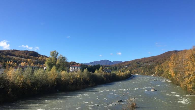 foto41
