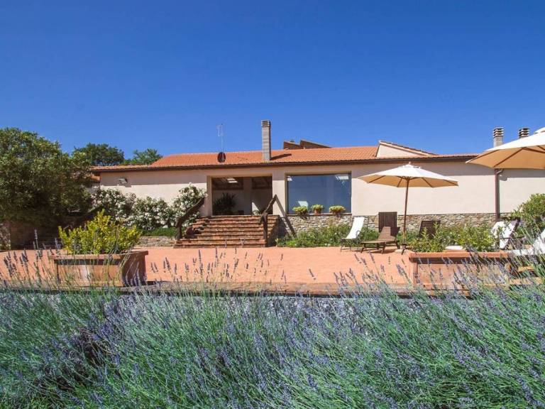 Salustri: Vermentino — photo 2