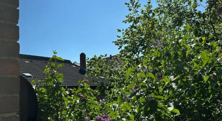 foto14