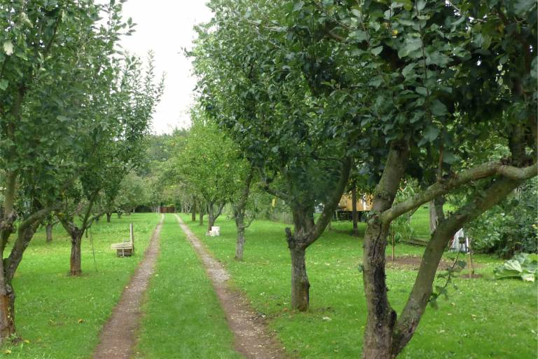 foto6