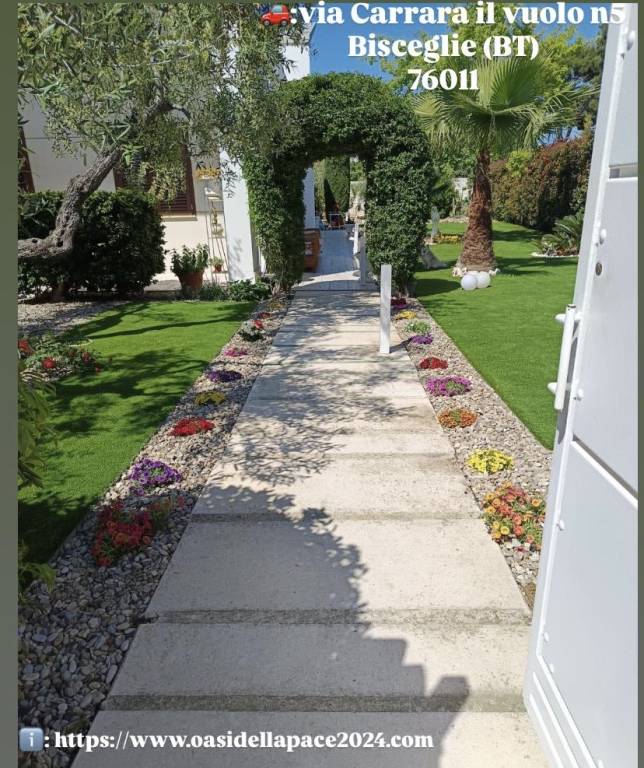 Oasi della pace — photo 2