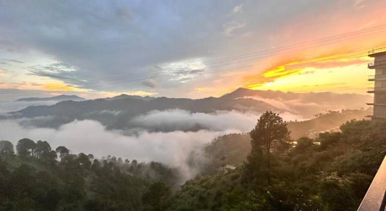 BEST NEST SHIMLA - Pure vegetarian — photo 4