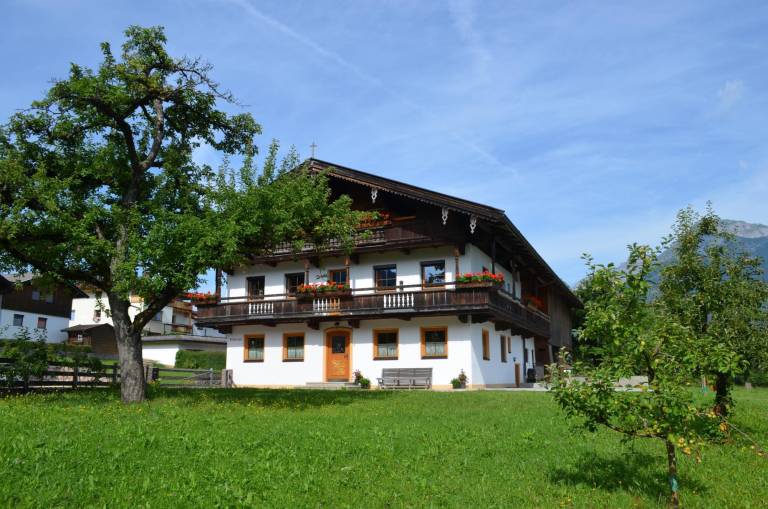 foto11