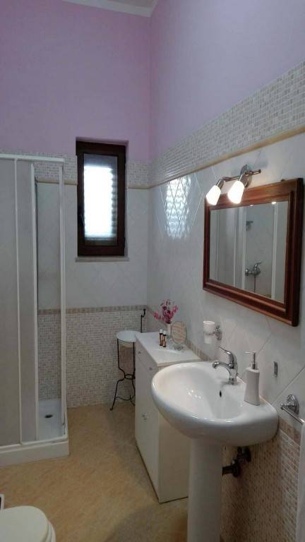 foto7