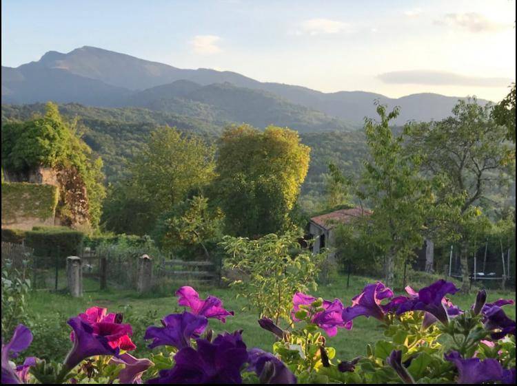foto15