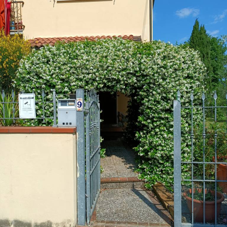 foto28