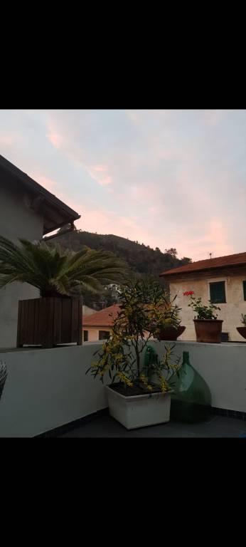 foto19