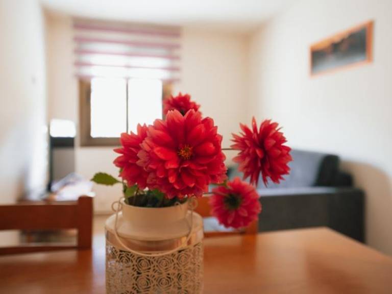 Rental apartment with pool & grill | Pet-friendly — photo 4