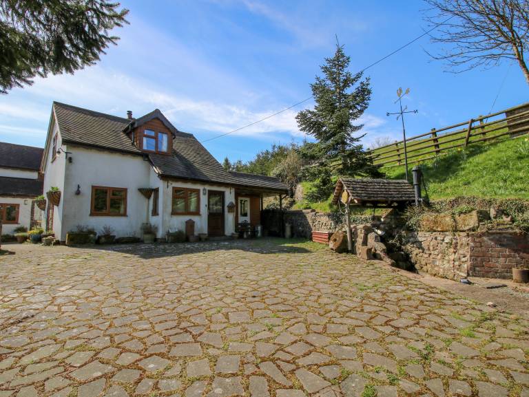 foto1
