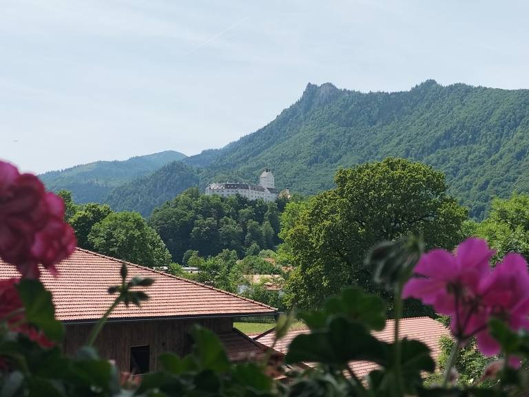 foto12