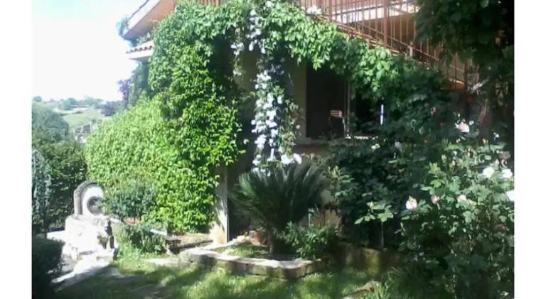 foto11